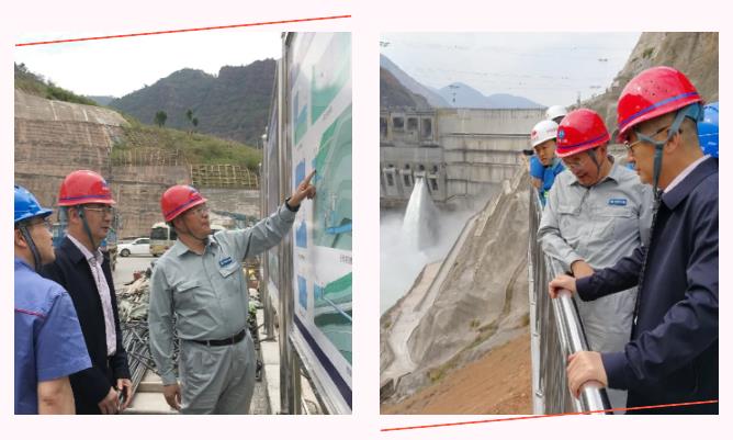 lewin乐玩官网-相信品牌力量