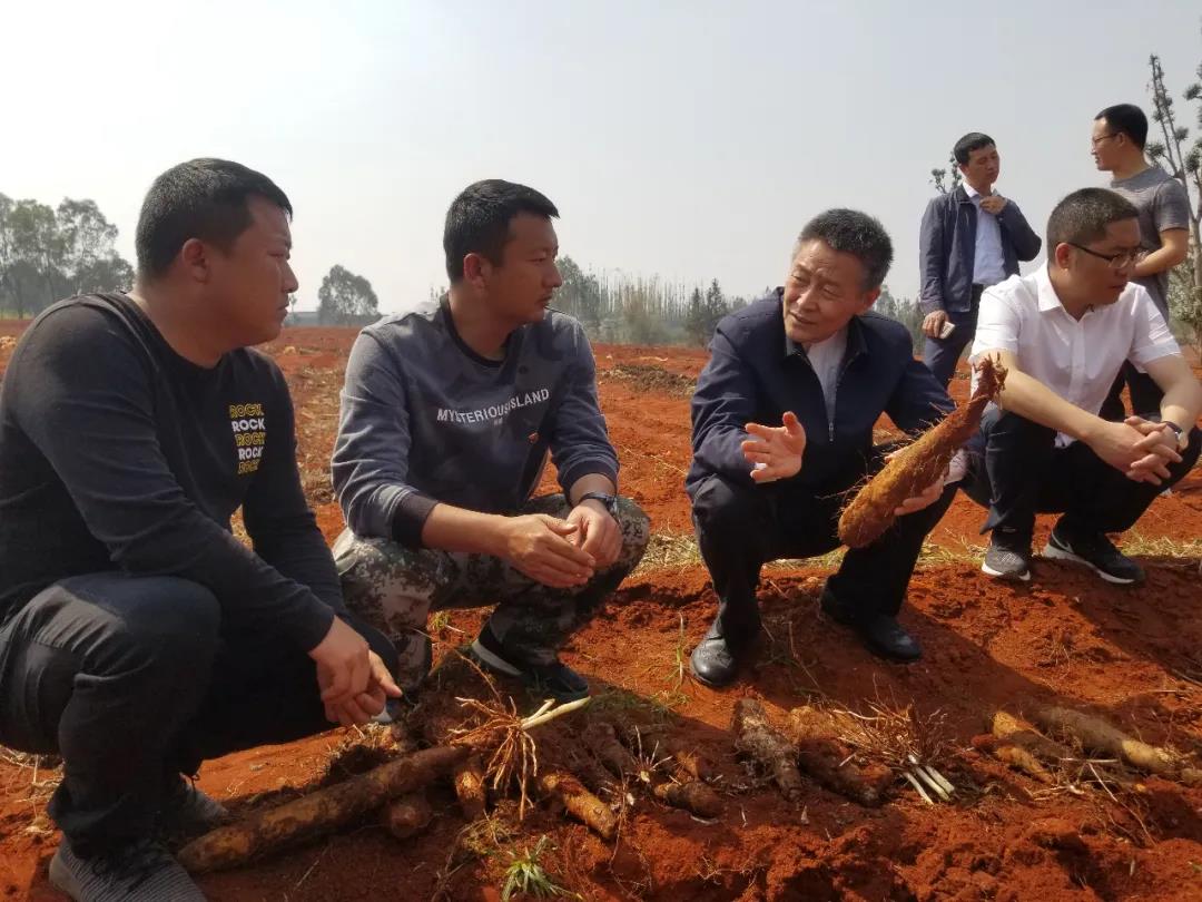 lewin乐玩官网-相信品牌力量