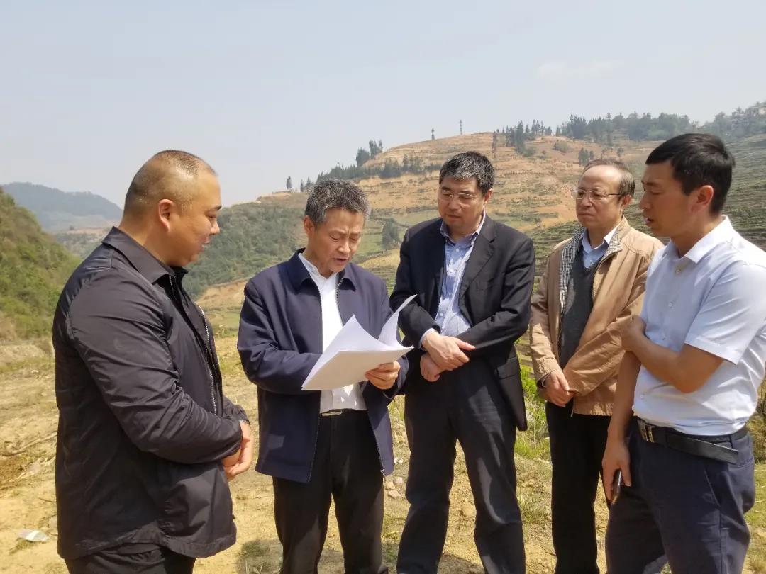 lewin乐玩官网-相信品牌力量