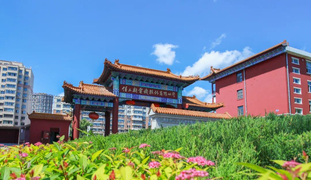 lewin乐玩官网-相信品牌力量